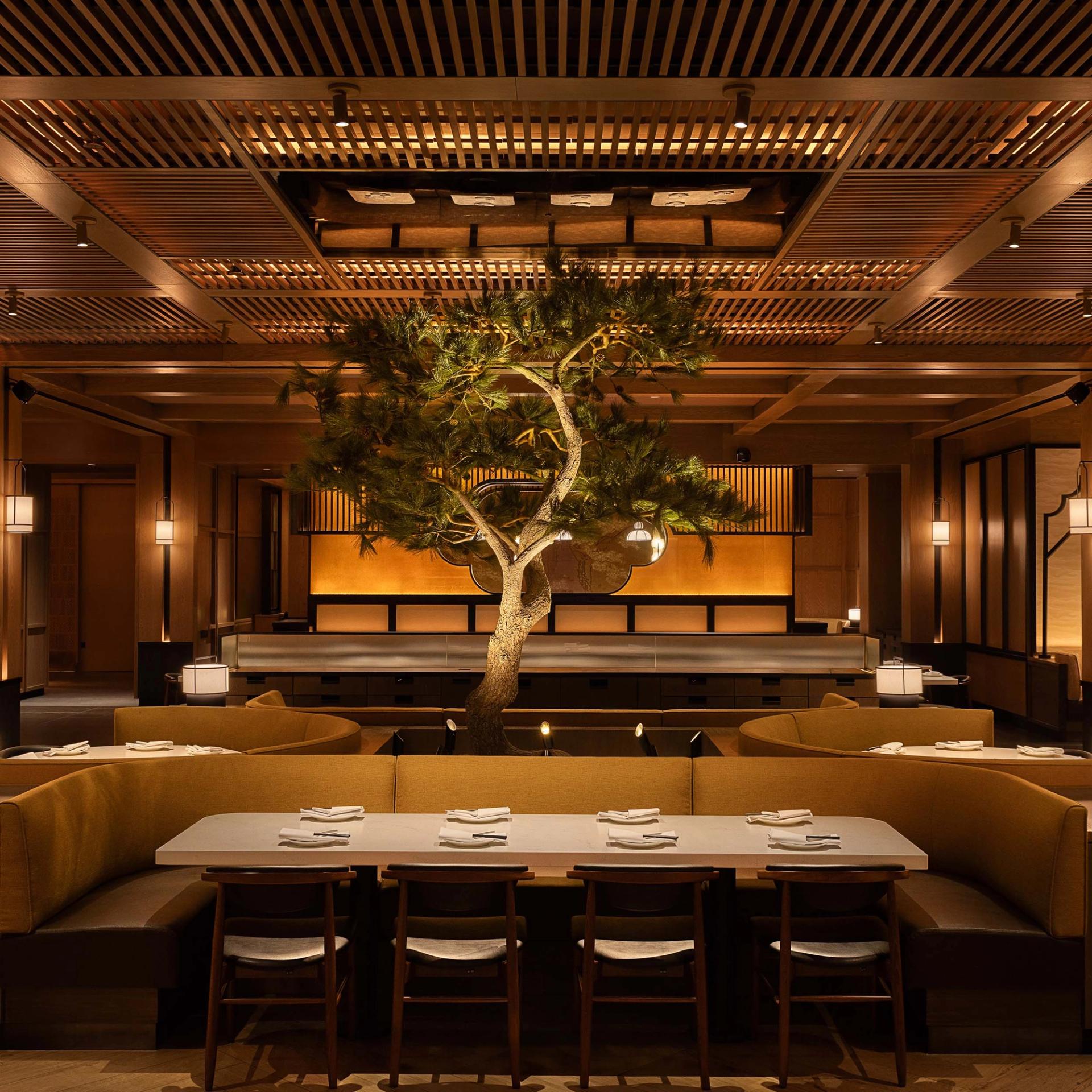 Din Tai Fung Scottsdale Dining Room