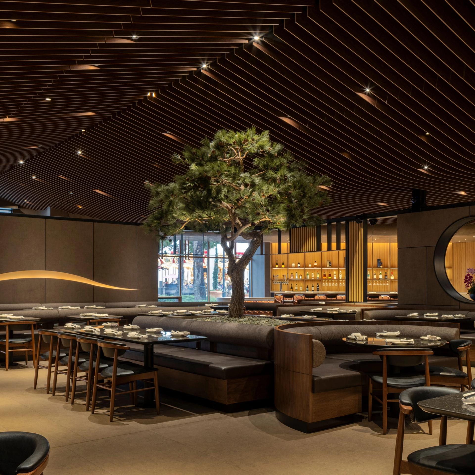 Din Tai Fung Irvine Dining Room Tree